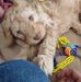 Beverly Deceault - Facebook