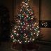 Beverly Dutcher - Facebook