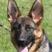 Bev Dutton - Facebook