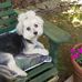 Beverly Dutton - Facebook