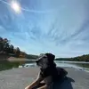 beverlyeagle - @beverlyeagle - TikTok