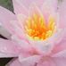 Beverly Coleman Easterling - Facebook