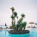 Beverley Eaves - @eavesbeverley - Instagram