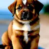 beverlyeberthab - @beverlyeberthab - TikTok