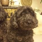 Beverly Eckert - @beverlyeckert - Instagram