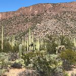 Beverly Zuercher Edgar - @bze.74 - Instagram