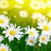 Beverly Eggerth - Facebook