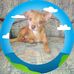 Beverly Egnor - Facebook