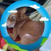 Beverly Egnor - @beverly.egnor - TikTok