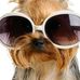 Kay Eichmiller - Facebook