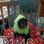 Beverly Elliott - @beverly.elliott.31337 - Instagram