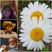 Beverly Ellison - Facebook