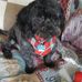 Beverly Eltringham - Facebook