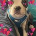 Beverly Eltringham - Facebook
