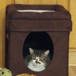 Beverly A. Emerson - @beverly.j.emerson - Instagram