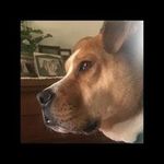 Beverly Emerson Albright - @beabrite - Instagram