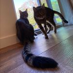 Emerson & Beverly - @emerson_and_beverly - Instagram