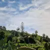beverlyemery1 - @beverlyemery1 - TikTok