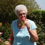 Beverly Gish Emley - @beverlyemley - Instagram