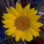 Beverly Erickson - @beverlyerickson - Instagram