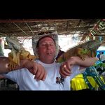 Beverly Erickson - @beverly.erickson.56 - Instagram