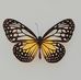 Beverly Holyfield Ervin - Facebook