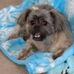 Beverly Erwin Smith  - Facebook