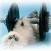 Beverley Nevell Esau - Facebook