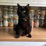 Beverly Estep - @brotasbiazi - Instagram