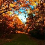 Beverly Eversole - @bheversole - Instagram