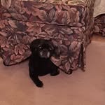 Beverly Siewing - @beverlysiewing - Instagram