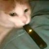 Beverly Farris - @beverlyfarris_4341 - TikTok