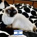 Beverly Feingold - Facebook