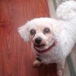 Beverly A. Ferrante - @beverlyferrante - Instagram