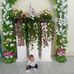 Beverly Ferrer - Facebook