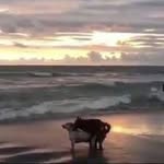 Beverly - @beverlyfine234 - Instagram