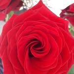 Beverly_Fine - @beverly_fine - Instagram