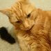 Beverly Finney - Facebook