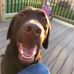 Bev Fishback D'Andrea - Facebook