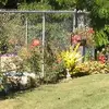 Beverly Fischer - @beverly.fischer - TikTok