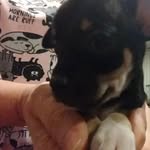 Beverly Fleischer - @koolmama76 - Instagram