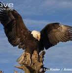 Beverly Marshall Fleischer - Facebook