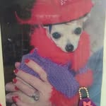 Beverly Flowers - @beverly.flowers.503 - Instagram
