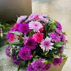 Beverly flowers and humpers💐 - @xilla379 - TikTok
