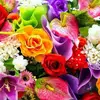 Beverly Hills Flowers - @michael.folino7 - TikTok
