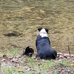 Beverly Forester - @beverlyforester - Instagram