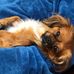 Beverly Forman - Facebook