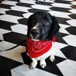 Beverly Fox - @beverlyfox305 - Instagram