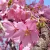 Beverly Frank - @beverly.frank44 - TikTok