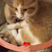 Beverly Franklin - Facebook